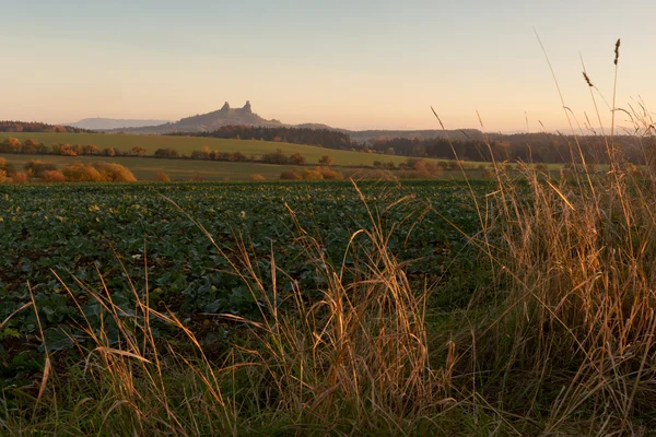 Paesaggio mattutino e Castello di Trosky, Repubblica Ceca — Foto Stock