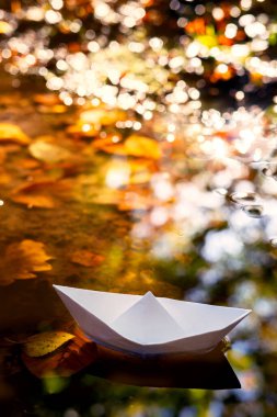 Altın Sonbahar Işıklı Bir Su birikintisinde Kağıt Tekne