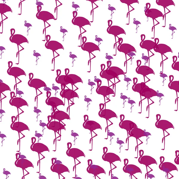 Flamingo bird pattern on white — Stock Vector