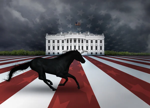 Presidentens Dark Horse — Stockfoto