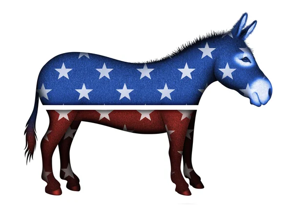 Real Donkey Democrat Symbol — Stock Photo, Image