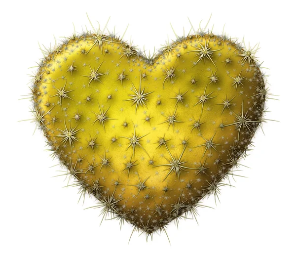 Corazón de cactus — Foto de Stock