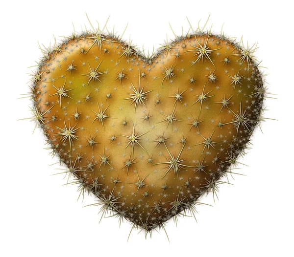 Corazón de cactus — Foto de Stock