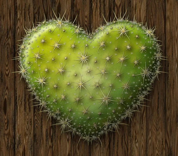 Cactus Heart — Stock Photo, Image