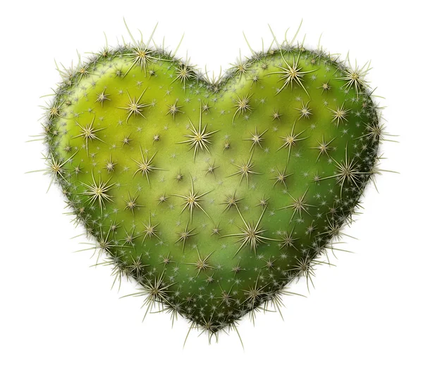 Cactus Heart — Stock Photo, Image