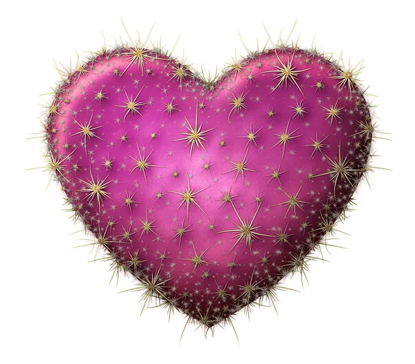 Cactus Heart — Stock Photo, Image