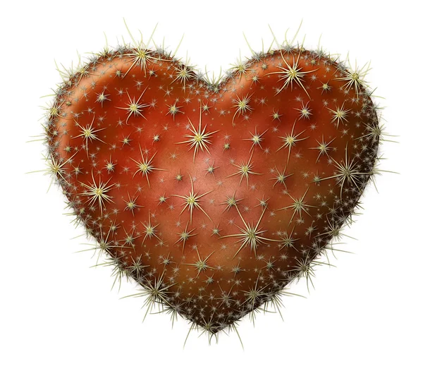 Cactus hjärta Stockbild
