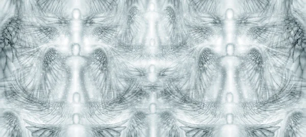 Yıldızlı melek arka plan deseni