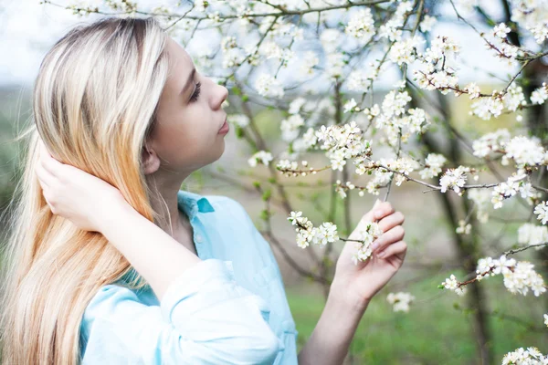 Girl in the spring garden — Stock Photo, Image