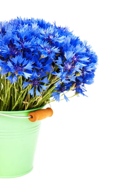 A kék Búzavirág vödör — Stock Fotó