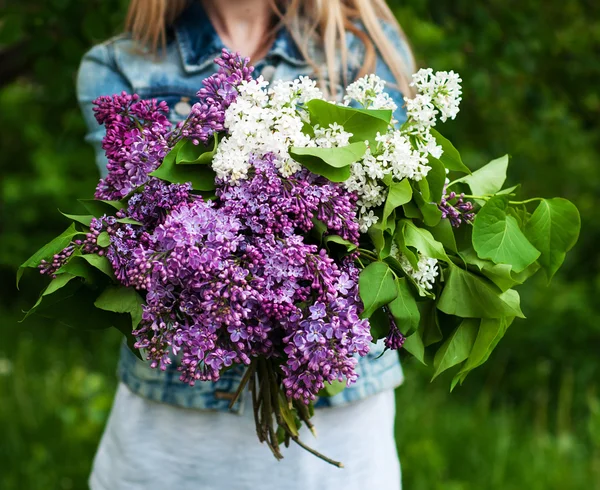 Blühende Fliederblüten in der Hand — Stockfoto