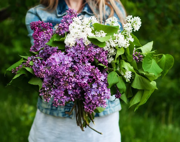 Blühende Fliederblüten in der Hand — Stockfoto