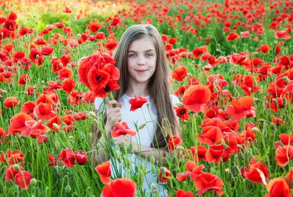 Girl in the poppy field — Stock Photo, Image