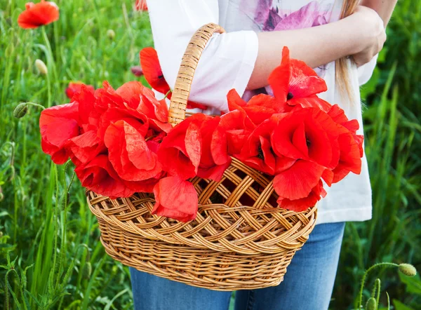Basket with poppy flowers — Stock Photo, Image
