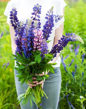 bir buket alan lupine tutan kadın