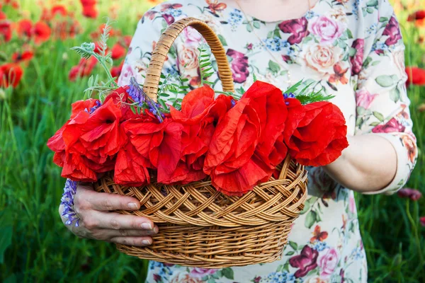 Korg med vallmo blommor — Stockfoto