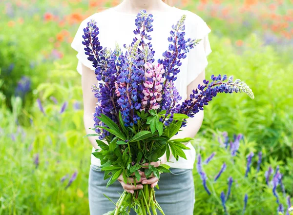 Kvinna med en bukett av fältet Lupin — Stockfoto