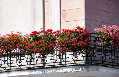balkon ve çiçekler