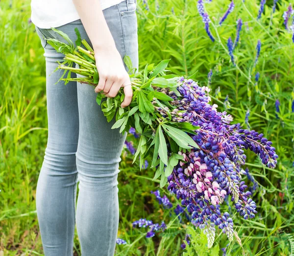 Strauß Lupinen — Stockfoto