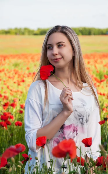 Young girl in the poppy field — Stock Photo, Image