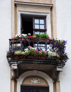 balkon ve çiçekler