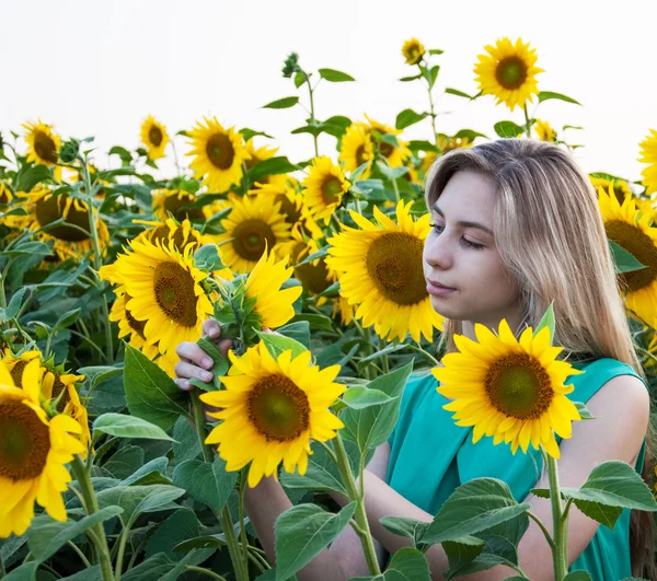 Girl on the field of sunflowers — Stock Photo, Image