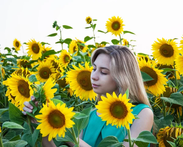 Girl on the field of sunflowers — Stock Photo, Image