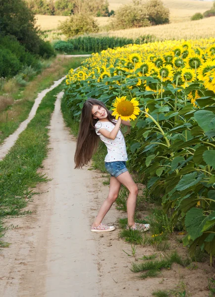 Menina no campo de girassóis — Fotografia de Stock