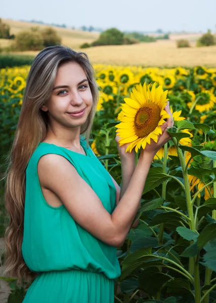 Girl on the field of sunflowers — Stock Photo, Image