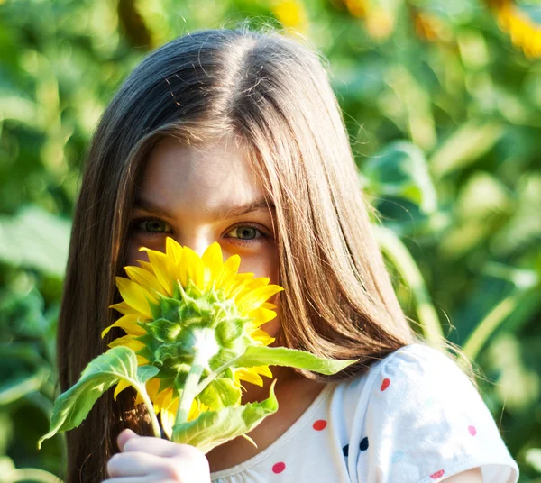 Menina no campo de girassóis — Fotografia de Stock