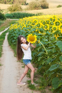 Ayçiçeği tarlası gurl