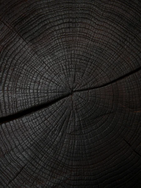 Ścinka drzew z pęknięć — Zdjęcie stockowe