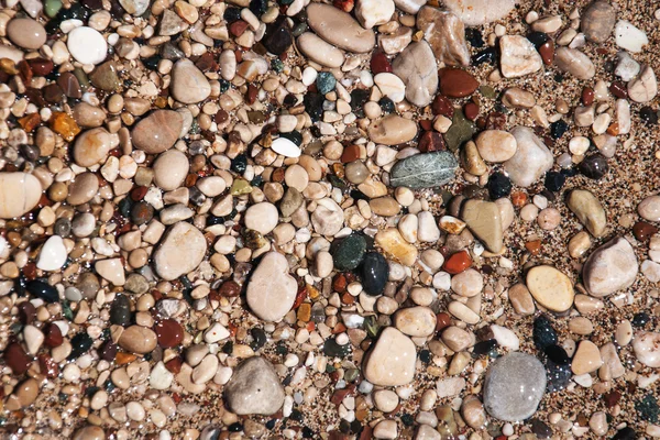 Stones on beach and sea water — Stock Photo, Image