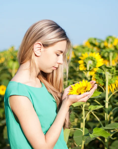 Girl on the field of sunflowers — Stock Photo, Image