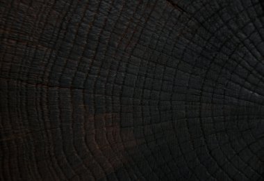 ağaçlar çatlaklar felling