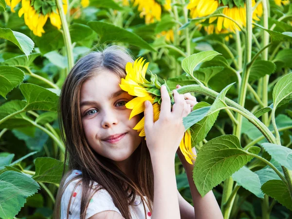 Menina no campo de girassóis — Fotografia de Stock