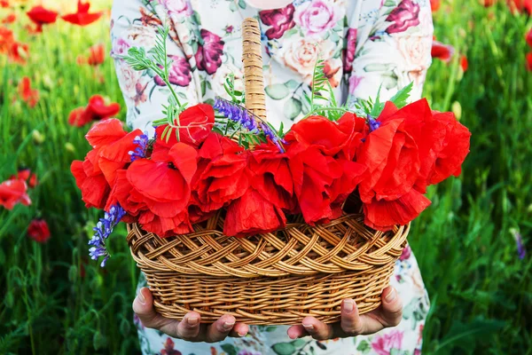 Cesta com flores de papoula — Fotografia de Stock