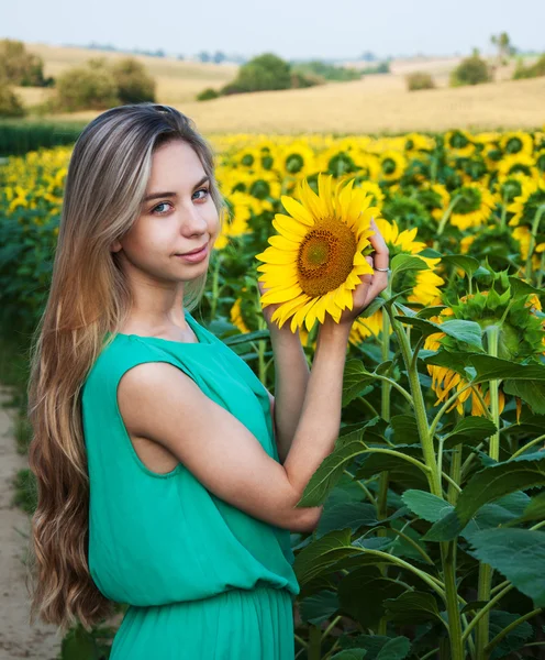 Girl on the field of sunflowers — Stock Photo, Image