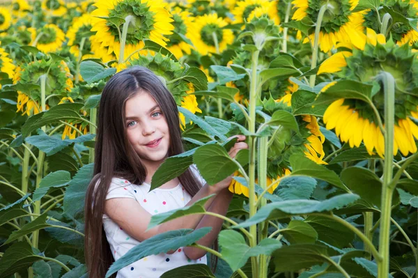 Meisje op het gebied van zonnebloemen — Stockfoto