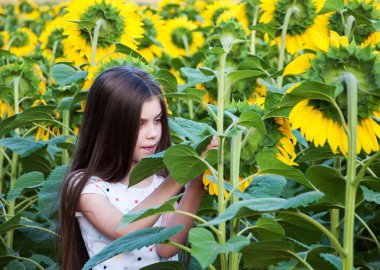 Ayçiçeği tarlası gurl