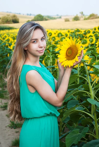 Ayçiçeği tarlası gurl — Stok fotoğraf