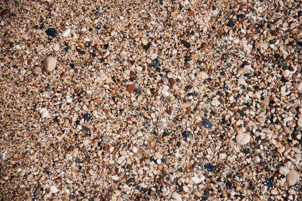 Stones on beach and sea water — Stock Photo, Image