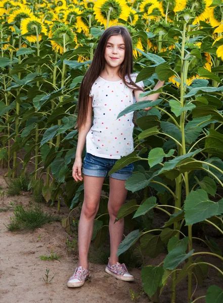 Menina no campo de girassóis — Fotografia de Stock