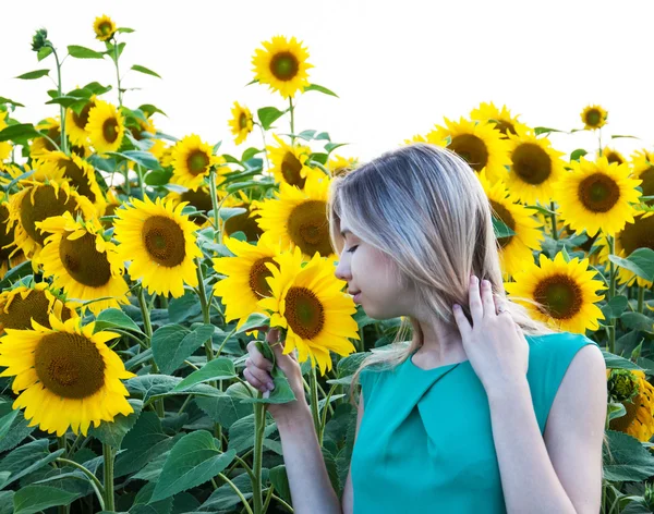 Girl on the field of sunflowers — Stock Photo, Image