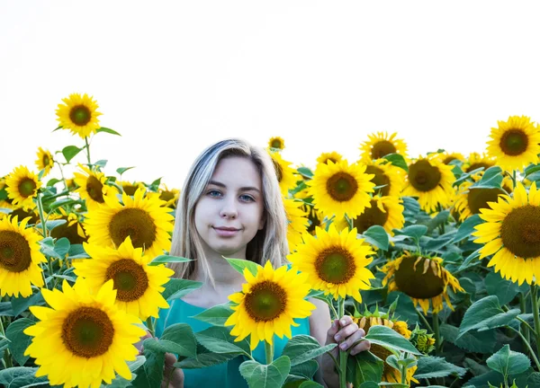 Ayçiçeği tarlası gurl