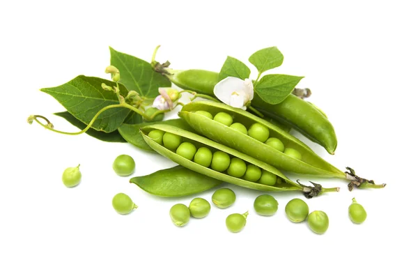 Fresh Garden Peas — Stock Photo, Image