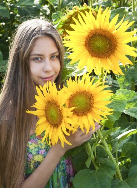 Ayçiçeği ile güzel kız