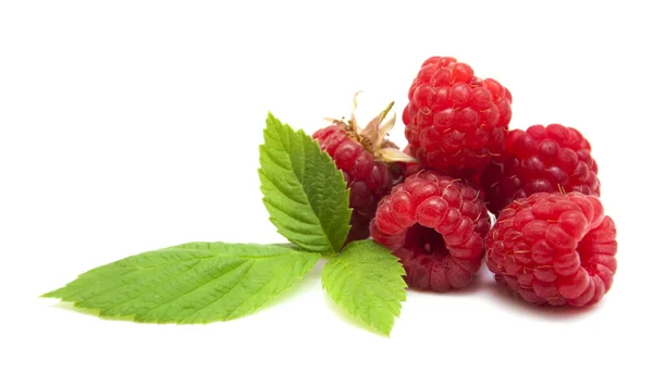 Raspberry — Stock Photo, Image