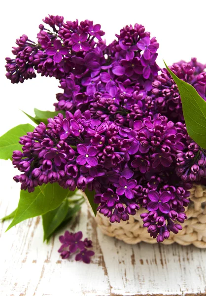 Summer lilac flowers in basket — Stock Photo, Image