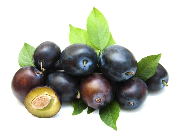 Fresh purple plums — Stock Photo, Image